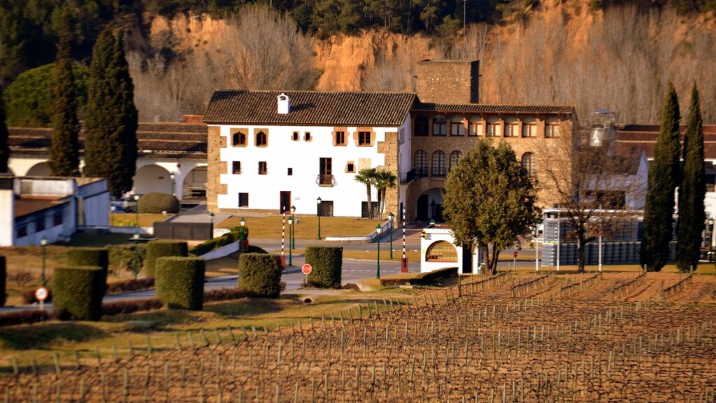 La route des vins près de Barcelone : le Penedès, terre du cava