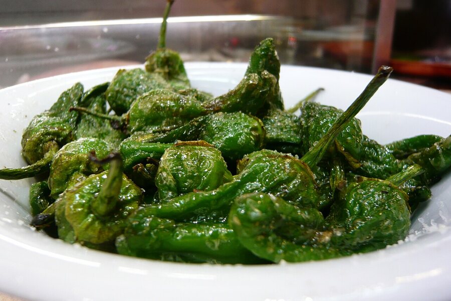 Pimientos de Padrón grillés