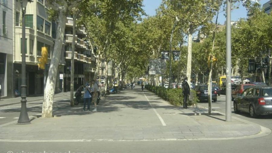 Avenue bordée de platanes à Barcelone