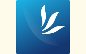 Amedia Partners