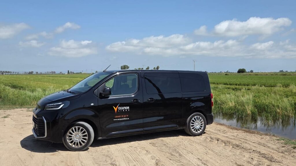 Le van noir sept places d'Escapada Libre, portant le logo et le numéro de téléphone de l'agence, garé sur un chemin de terre entre les rizières du delta de l'Èbre.