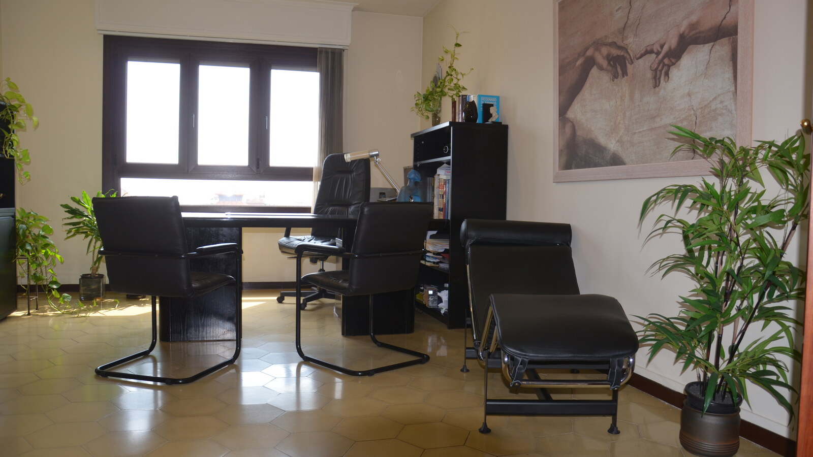 La salle de consultation de Marina Roustan : un bureau devant la fenêtre, deux fauteuils noirs, une chaise longue et des plantes