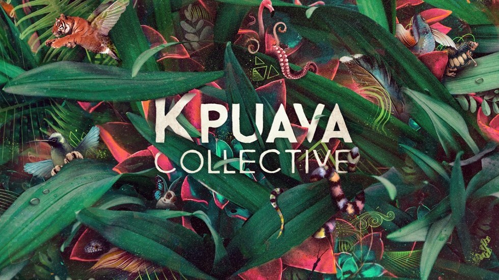 Identité graphique colorée « Kpuaya Collective » réalisée par Studio 389, sur fond de jungle